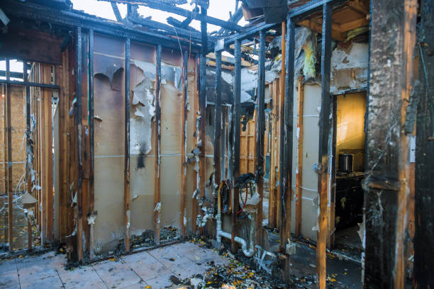 Professional Odor Removal technician working in Bowie, TX