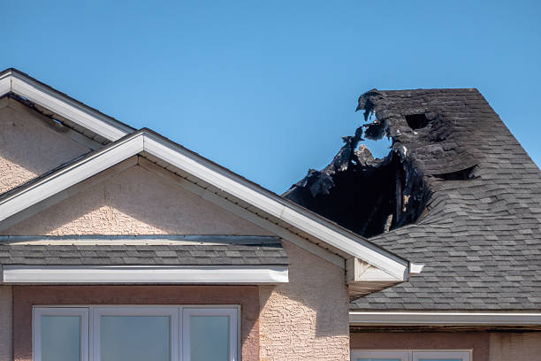 Top rated local Odor Removal specialists in Bowie, TX